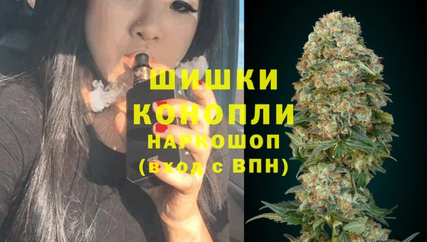 ПСИЛОЦИБИНОВЫЕ ГРИБЫ Абдулино